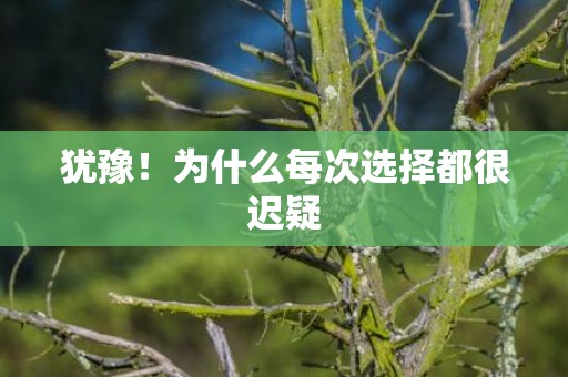 犹豫！为什么每次选择都很迟疑