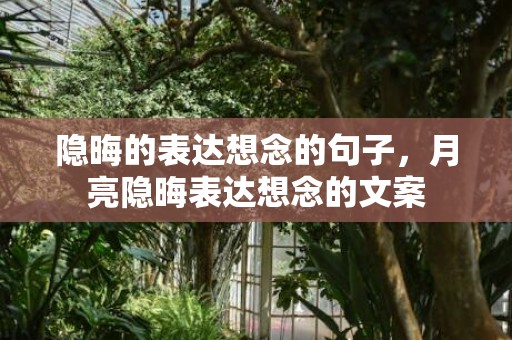隐晦的表达想念的句子，月亮隐晦表达想念的文案