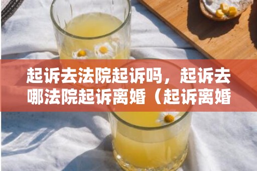 起诉去法院起诉吗，起诉去哪法院起诉离婚（起诉离婚去哪里）