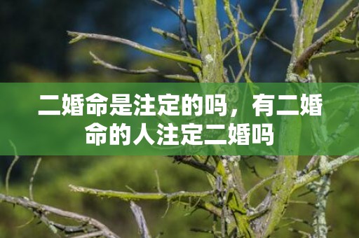 二婚命是注定的吗，有二婚命的人注定二婚吗