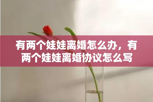 有两个娃娃离婚怎么办，有两个娃娃离婚协议怎么写