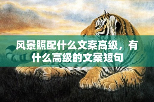 风景照配什么文案高级，有什么高级的文案短句