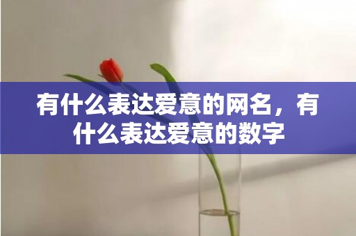 有什么表达爱意的网名，有什么表达爱意的数字