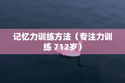 记忆力训练方法（专注力训练 712岁）