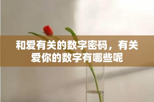 和爱有关的数字密码，有关爱你的数字有哪些呢