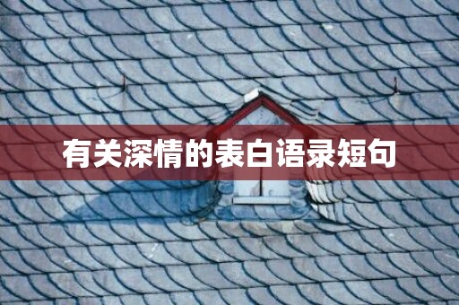 有关深情的表白语录短句