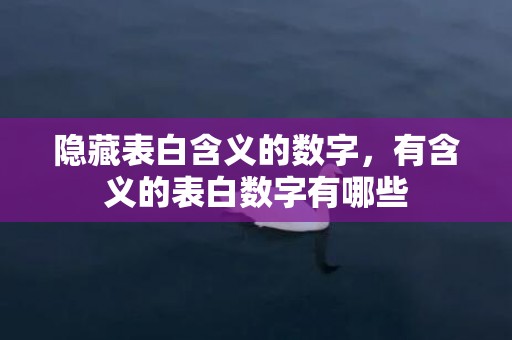 隐藏表白含义的数字，有含义的表白数字有哪些