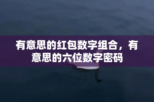 有意思的红包数字组合，有意思的六位数字密码