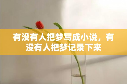 有没有人把梦写成小说，有没有人把梦记录下来