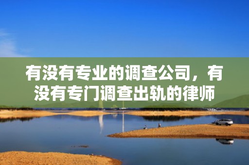 有没有专业的调查公司，有没有专门调查出轨的律师