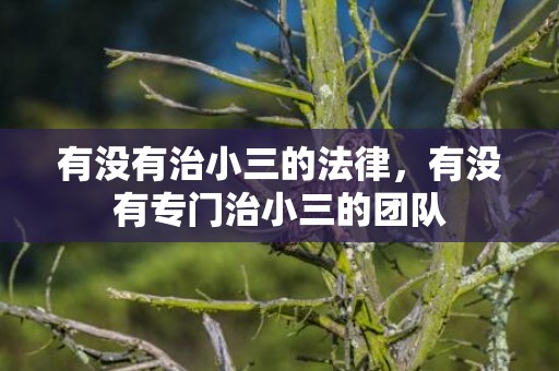 有没有治小三的法律，有没有专门治小三的团队