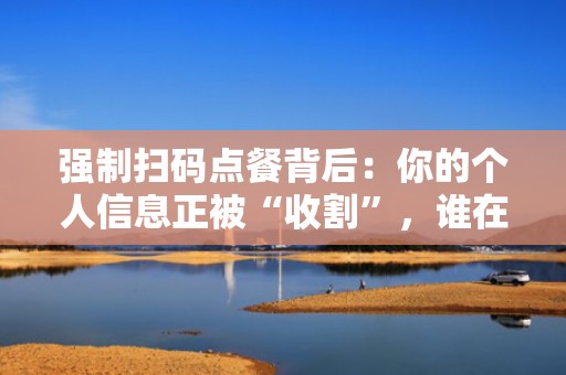 强制扫码点餐背后：你的个人信息正被“收割”，谁在赚钱？