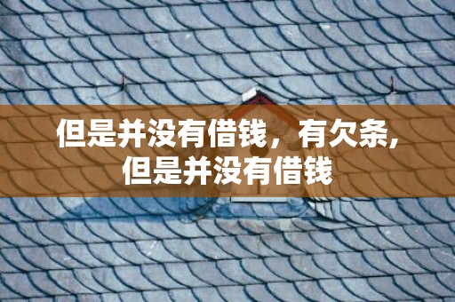 但是并没有借钱，有欠条,但是并没有借钱