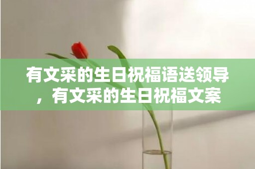 有文采的生日祝福语送领导，有文采的生日祝福文案