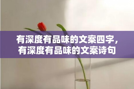 有深度有品味的文案四字，有深度有品味的文案诗句