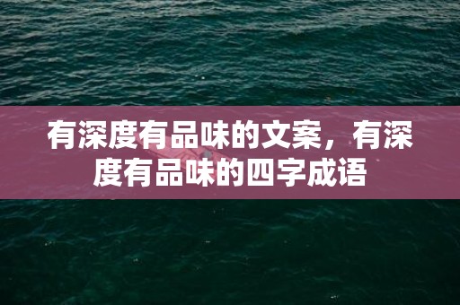 有深度有品味的文案，有深度有品味的四字成语
