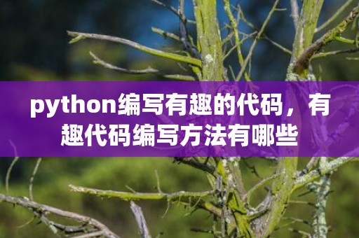 python编写有趣的代码，有趣代码编写方法有哪些
