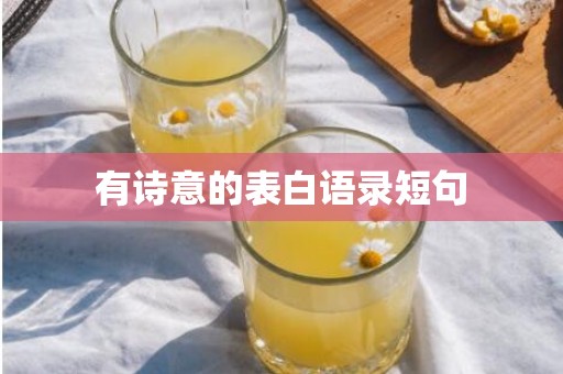 有诗意的表白语录短句