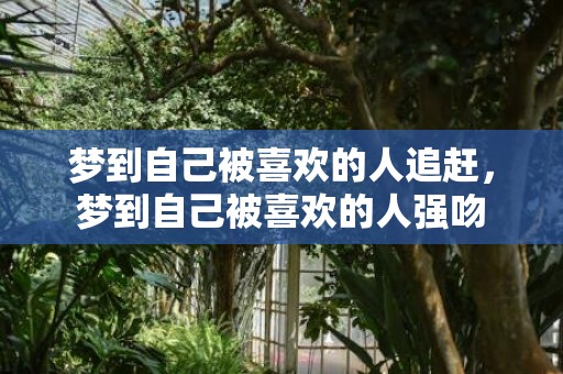 梦到自己被喜欢的人追赶，梦到自己被喜欢的人强吻