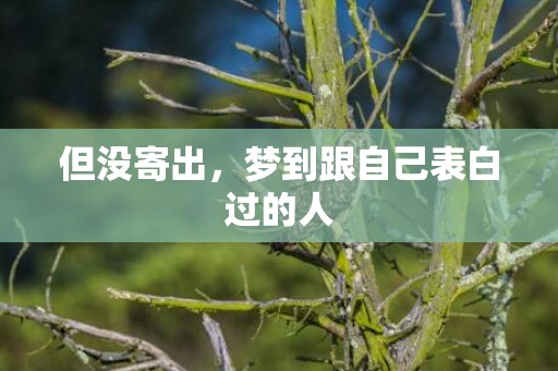 但没寄出，梦到跟自己表白过的人