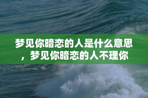 梦见你暗恋的人是什么意思，梦见你暗恋的人不理你