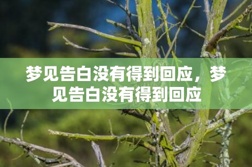 梦见告白没有得到回应，梦见告白没有得到回应