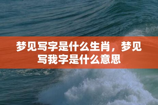 梦见写字是什么生肖，梦见写我字是什么意思