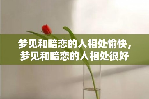 梦见和暗恋的人相处愉快，梦见和暗恋的人相处很好