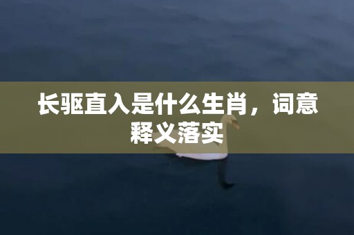 长驱直入是什么生肖，词意释义落实