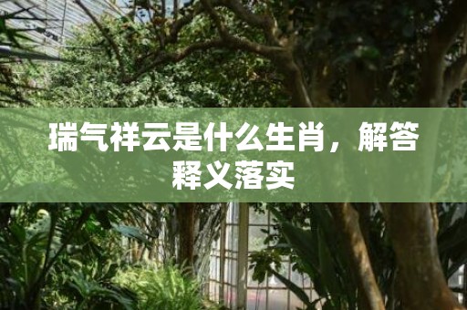 瑞气祥云是什么生肖，解答释义落实