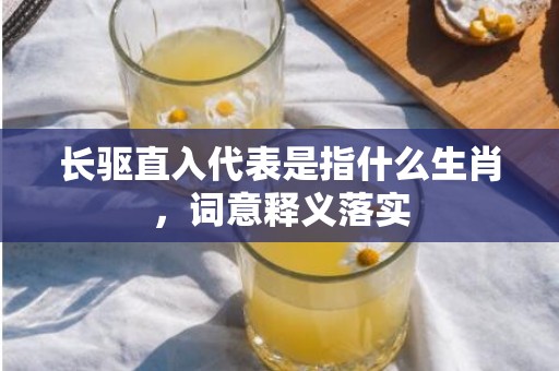 长驱直入代表是指什么生肖，词意释义落实