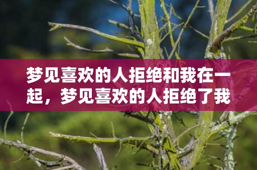 梦见喜欢的人拒绝和我在一起，梦见喜欢的人拒绝了我