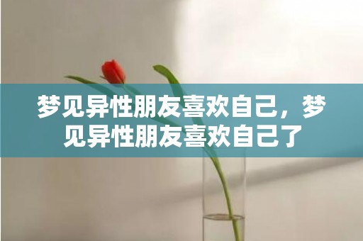 梦见异性朋友喜欢自己，梦见异性朋友喜欢自己了