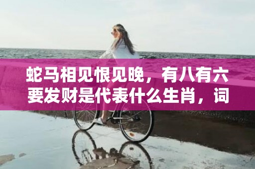 蛇马相见恨见晚，有八有六要发财是代表什么生肖，词语落实解释