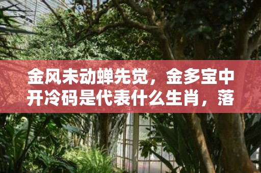 金风未动蝉先觉，金多宝中开冷码是代表什么生肖，落实词语解释