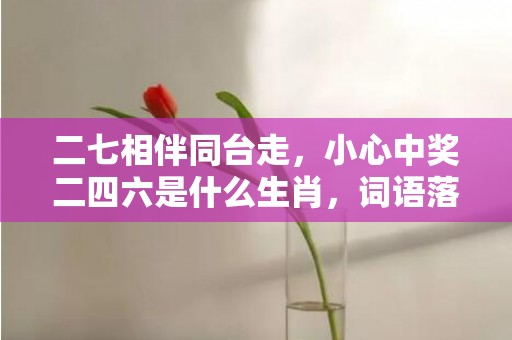 二七相伴同台走，小心中奖二四六是什么生肖，词语落实解释