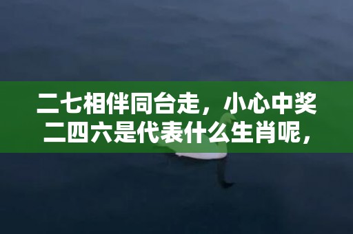 二七相伴同台走，小心中奖二四六是代表什么生肖呢，词语落实解释