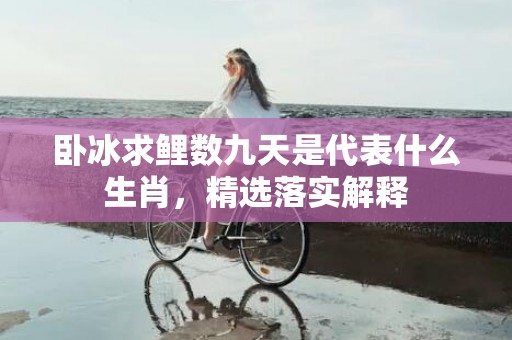 卧冰求鲤数九天是代表什么生肖，精选落实解释