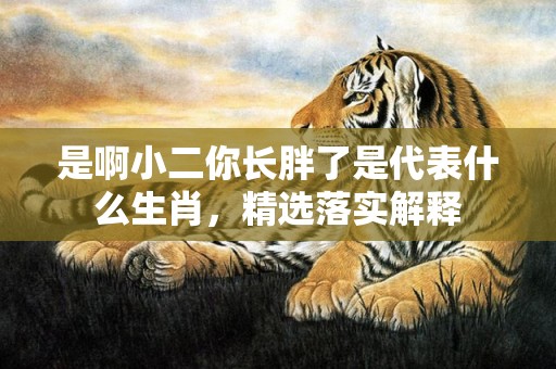 是啊小二你长胖了是代表什么生肖，精选落实解释