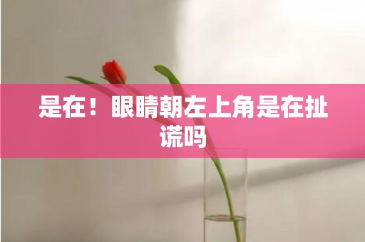 是在！眼睛朝左上角是在扯谎吗