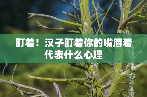 盯着！汉子盯着你的嘴唇看代表什么心理