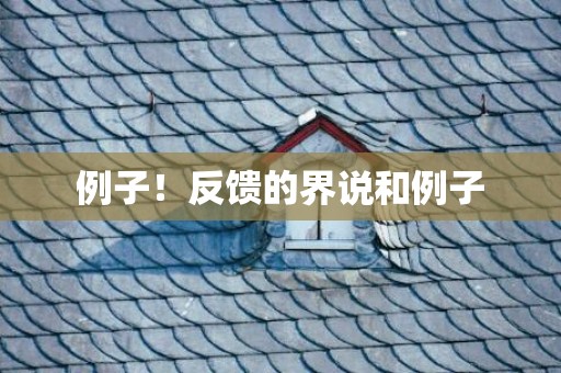 例子！反馈的界说和例子