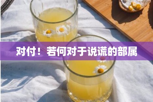 对付！若何对于说谎的部属
