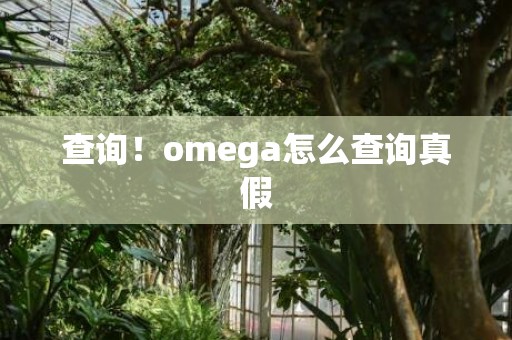 查询！omega怎么查询真假