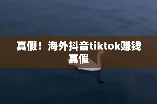 真假！海外抖音tiktok赚钱真假