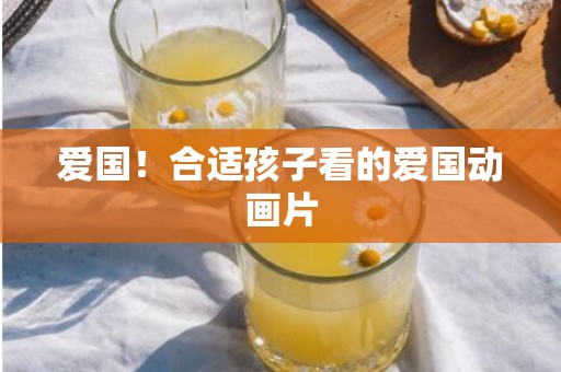 爱国！合适孩子看的爱国动画片