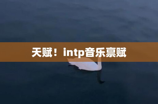 天赋！intp音乐禀赋