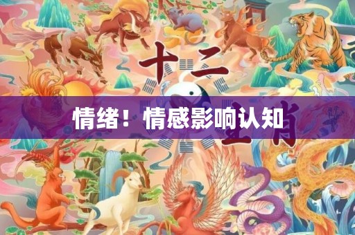 情绪！情感影响认知