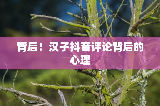 背后！汉子抖音评论背后的心理