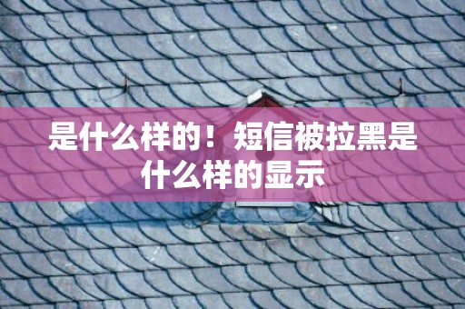 是什么样的！短信被拉黑是什么样的显示